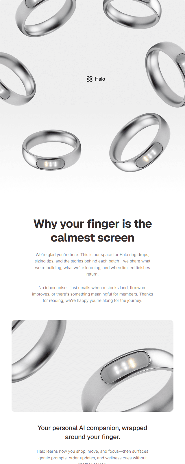 Newsletter · Studio email template preview