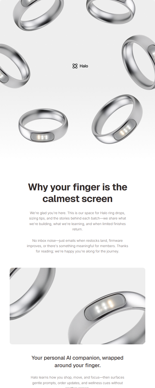 Newsletter · Studio